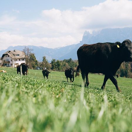 Alpin Farm Linde - Oberweidacherhof Collalbo Exterior foto