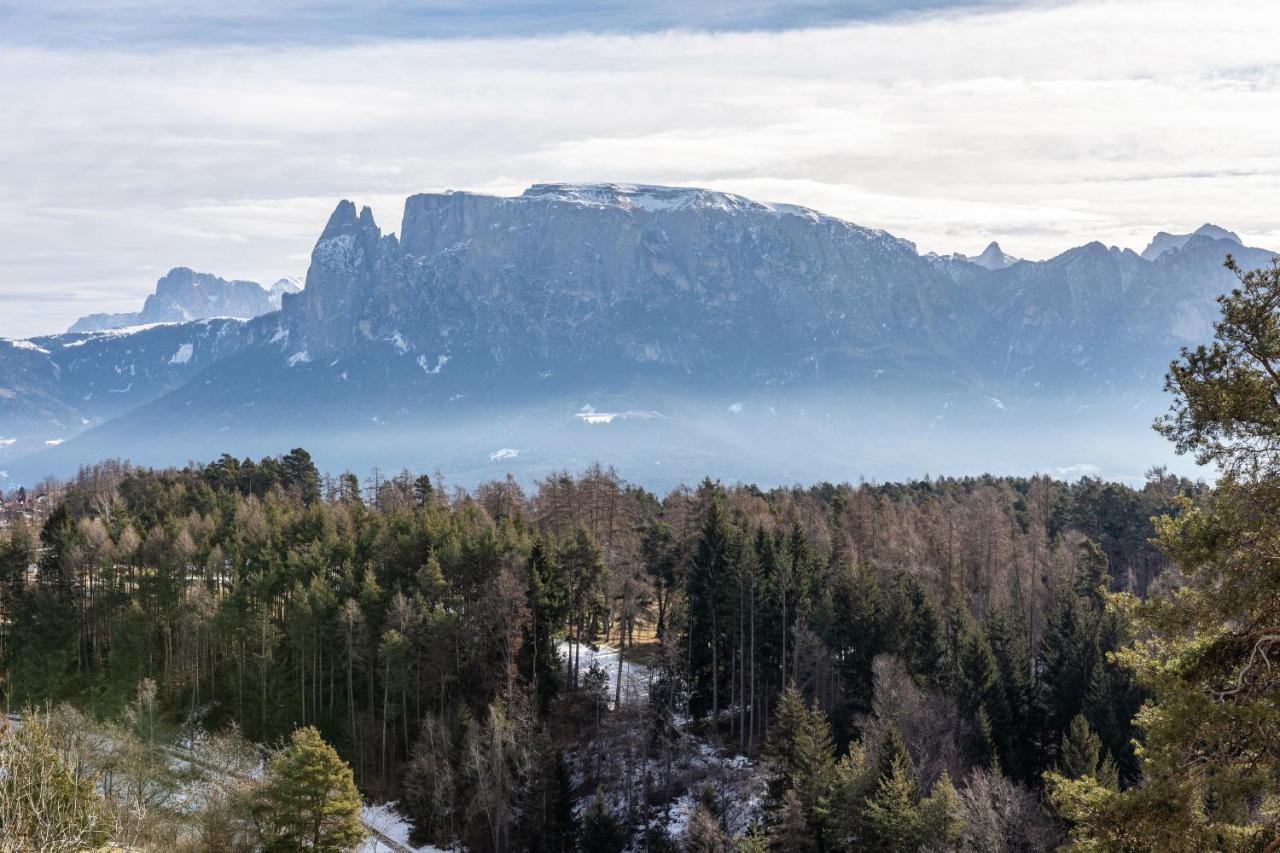 Alpin Farm Linde - Oberweidacherhof Collalbo Exterior foto